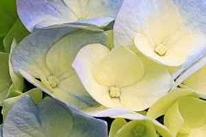 post-71718-0-70535100-1351873245_thumb.j