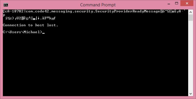 CommandPrompt2.jpg