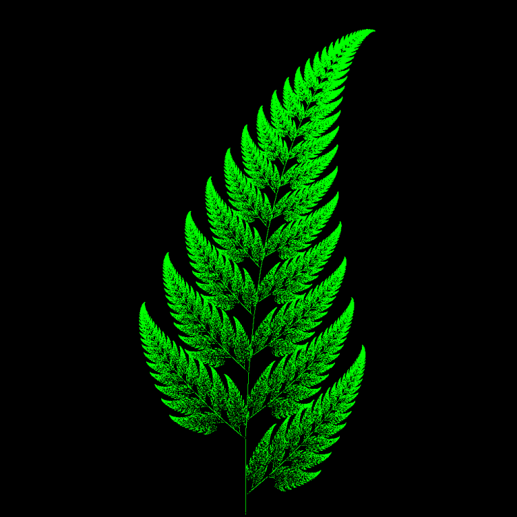 Fractal_Fern_00FF00-000000-1000.png