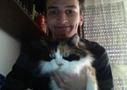 Fazan123312
