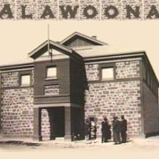 alawoona