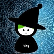 tinyCoder